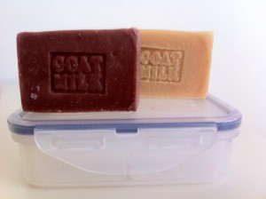 hair shampoo and conditioner bars with container