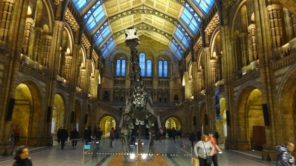The museum on natural history